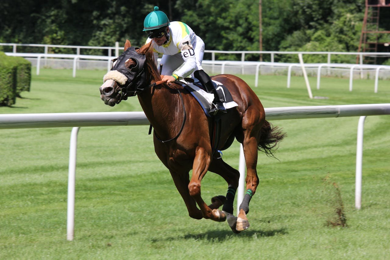 Club hípico en Tuy. A thrilling horse racing scene with a jockey urging the horse forward on a sunny day.