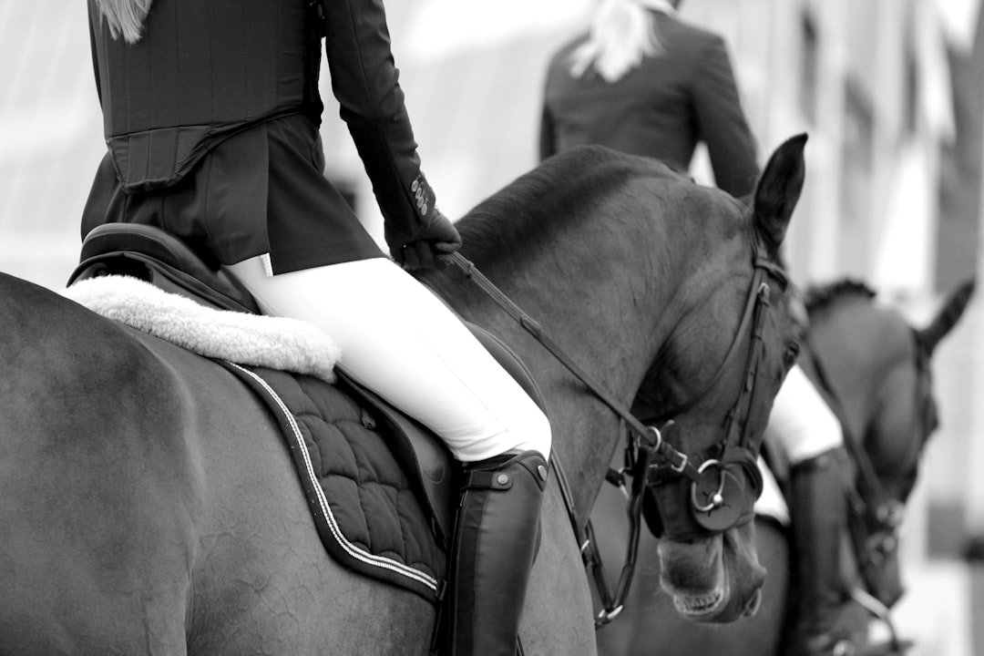 Servicios ecuestres en Tuy. grayscale-photography-of-woman-riding-on-horse-3sm-f21nzsw