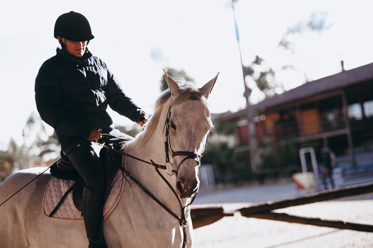 Servicios ecuestres en Tuy. Man in equestrian gear riding a white horse outdoors during sunset.