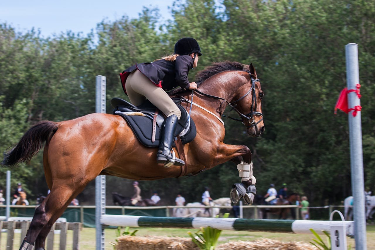 Club hípico en Tuy. A woman jockey skillfully jumps with her horse in an outdoor equestrian competition.