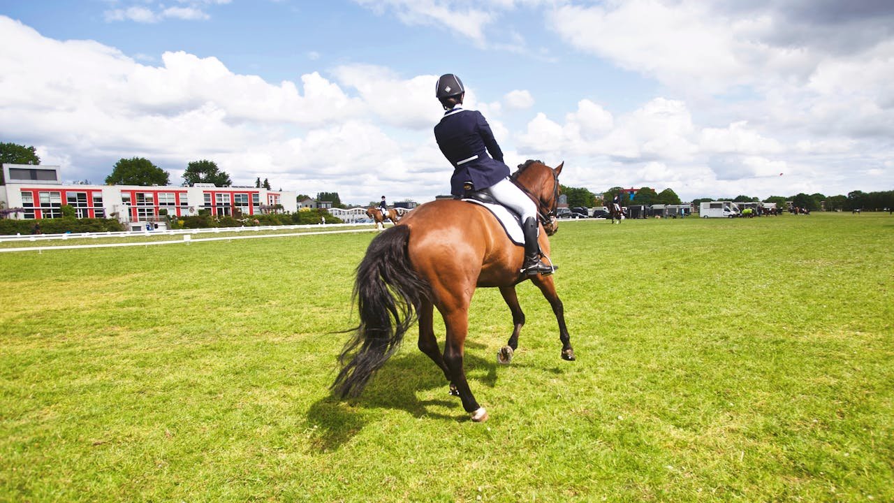 Contacto club hípico Tuy. A horse rider participating in a dressage event outdoors under a bright sky.